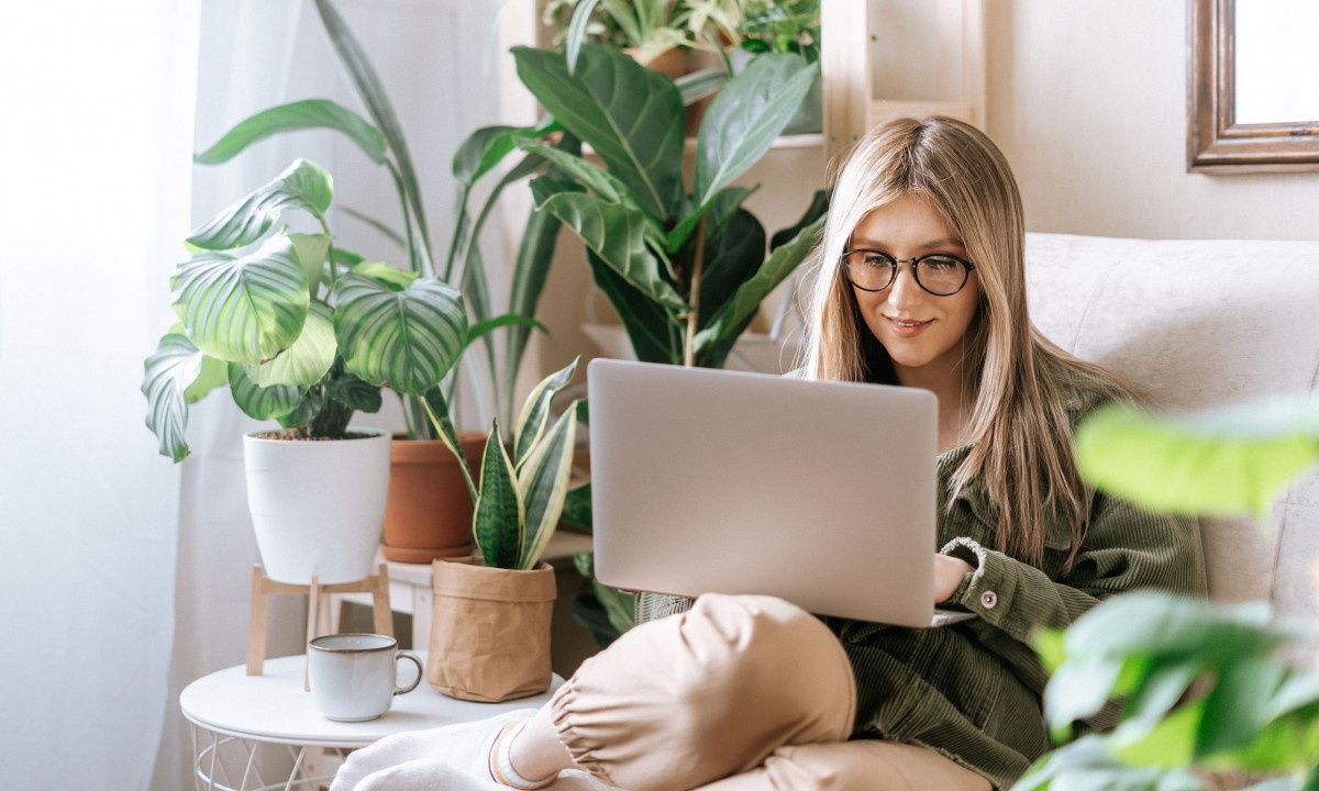 Τα φυτά εσωτερικού χώρου που απορροφούν την υγρασία