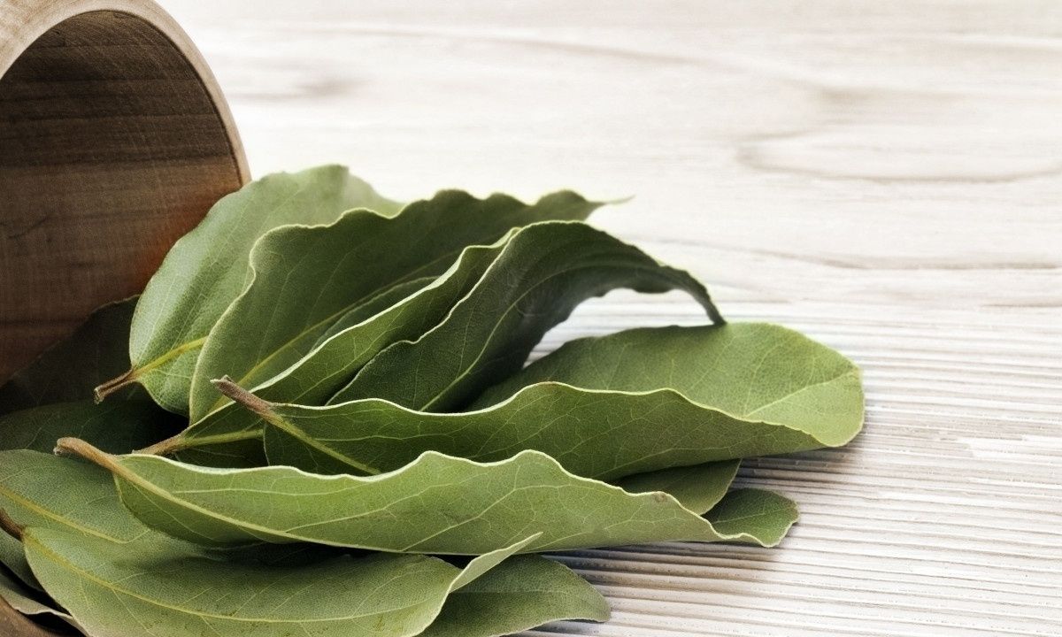 Φύλλα δάφνης και μαγειρική σόδα στα ξεθωριασμένα ρούχα