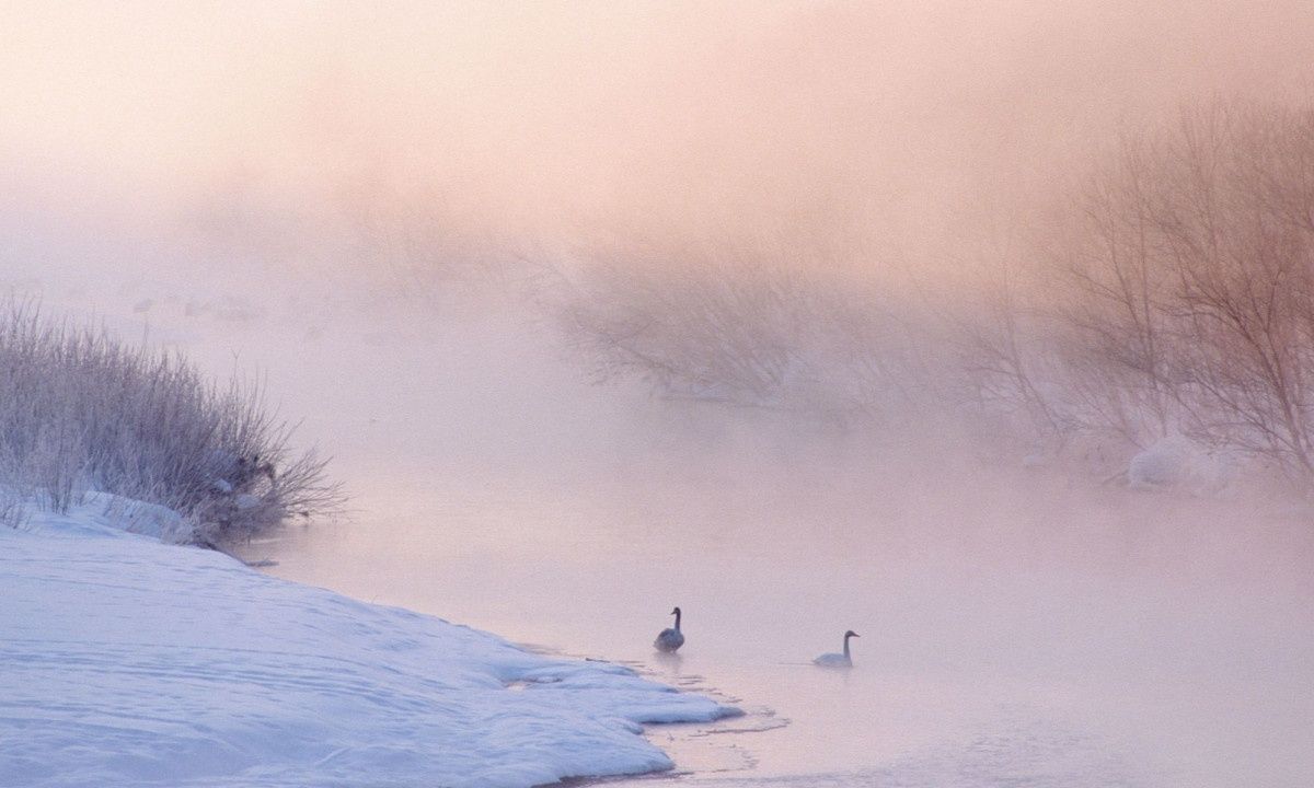 Διάβασε ΔΩΡΕΑΝ την προσωπική σου πρόβλεψη, για σήμερα 04/02/2024