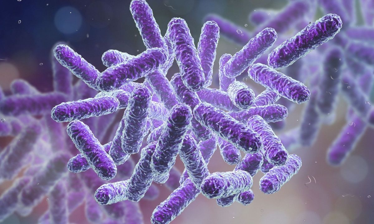 ECDC: SOS για την ανθεκτική κλεμπσιέλλα - Ποια είναι τα συμπτώματα