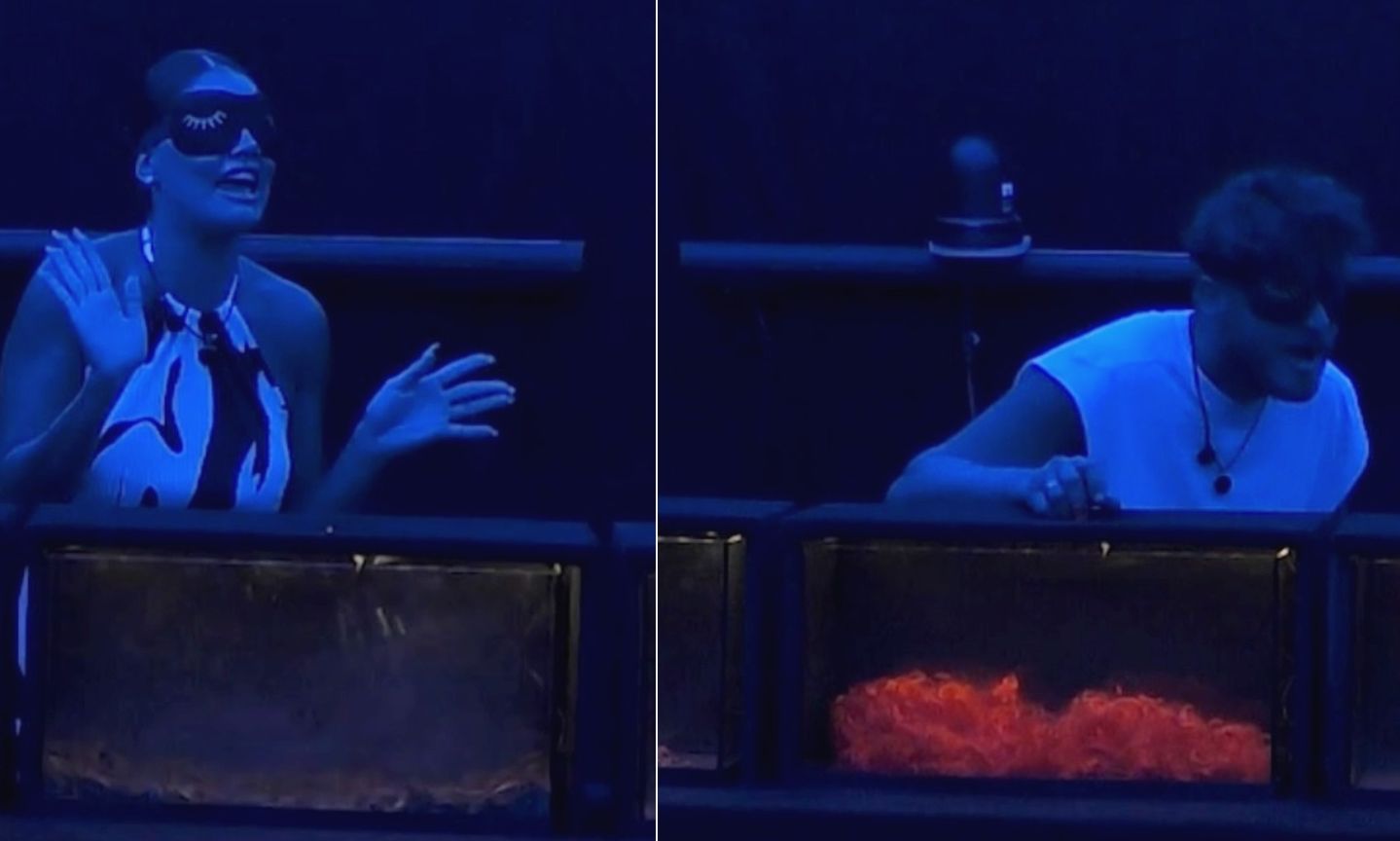 Big Brother: «Φοβάμαι μην είναι ζωντανό και με φάει!»