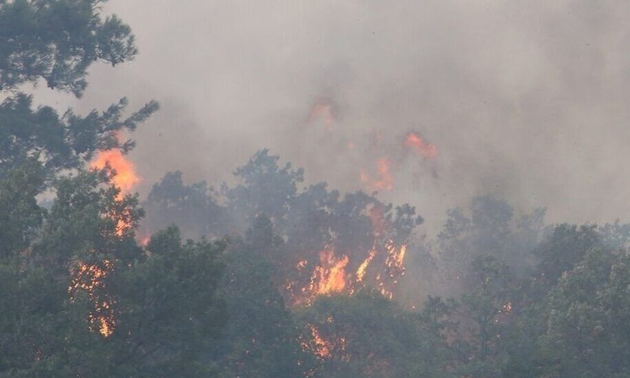 Φωτιά στην Πρέβεζα: Ηλικιωμένοι εγκαταλείπουν τα σπίτια τους – Τουλάχιστον δύο σπίτια στις φλόγες
