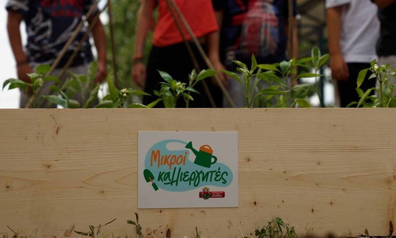 Πώς ένας σχολικός λαχανόκηπος μπορεί να μετατραπεί σε μάθημα διατροφής (και ζωής)