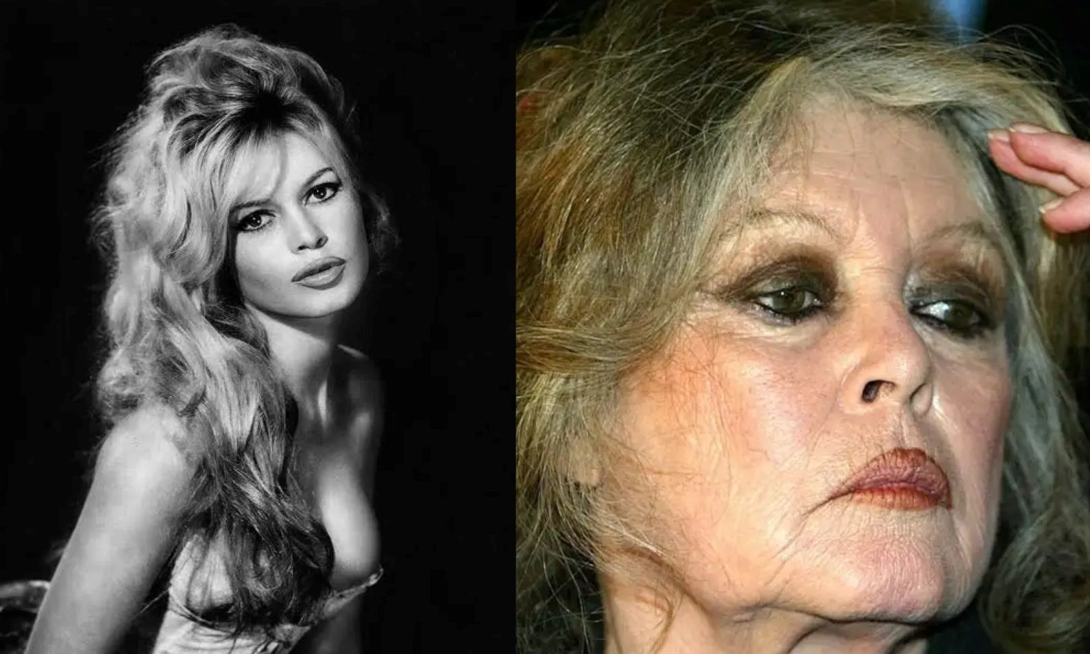 Η εικόνα της νεκρής Μπριζίτ Μπαρντό «στοιχειώνει» το διαδίκτυο - Το ΑΙ βίντεο που έγινε Viral!