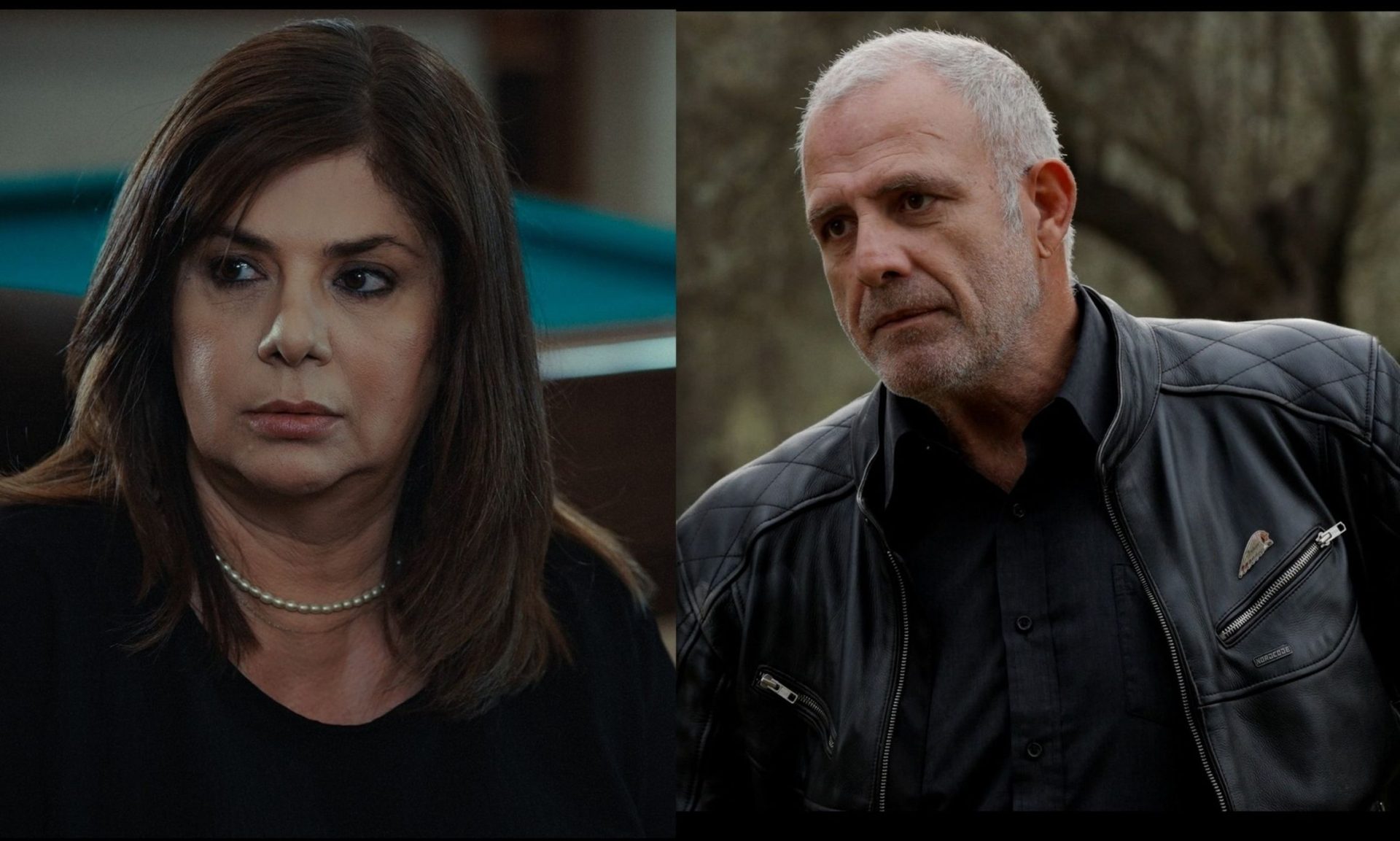 Η γη της ελιάς: Η δίκη της Ασπασίας συνεχίζεται- Κατάθεση «φωτιά» από τον Στάθη