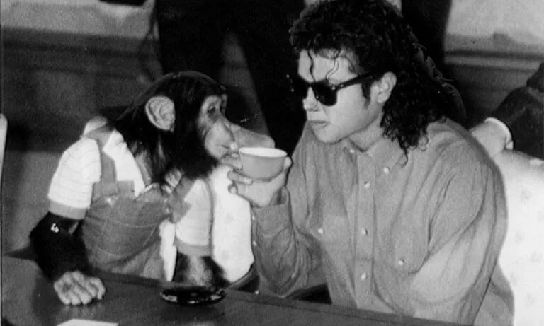 Πού ζει σήμερα ο διάσημος χιμπαντζής του Michael Jackson, Bubbles;