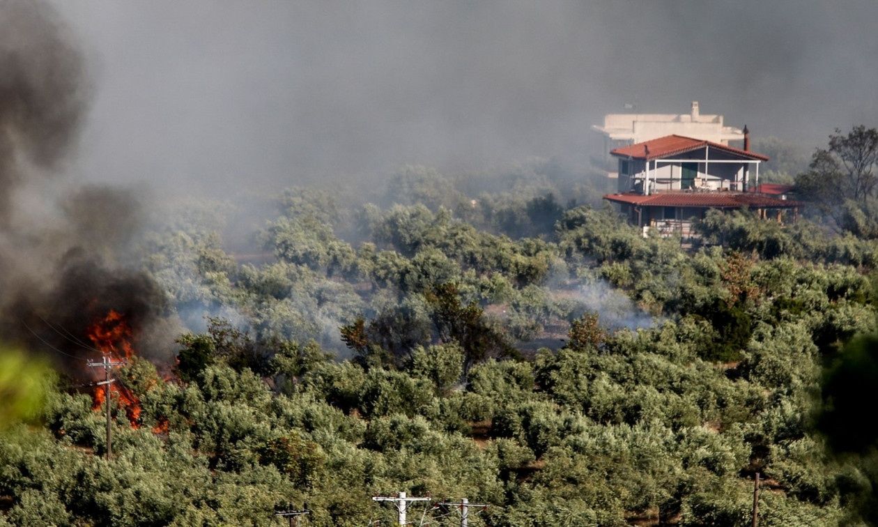 Φωτιές χωρίς τέλος: Τρία ενεργά μέτωπα στο Πόρτο Γερμενό–Νέα μηνύματα του 112 σε Βοιωτία & Αιγιάλεια