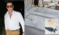 Μαζωνάκης: Αλλάζει όψη ο οικογενειακός τάφος – Η Αρίθα & ο μικρός Μάιλο που δεν φεύγει από κοντά του