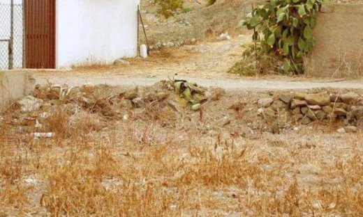 Βρείτε τη Γάτα! (Αποκλειστικά στο gossip-tv και στο cosmopoliti blog)