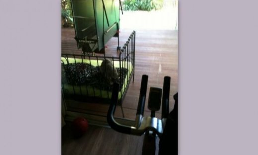 Ποια γνωστή κυρία κάνει αυτή την ώρα γυμναστική;