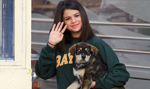 Selena Gomez – Justin Bieber: Υιοθέτησαν ένα σκυλάκι