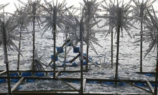 Βυθίστηκε το πλωτό δέντρο της Αριστοτέλους (φωτό)