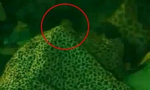 Βίασε κοπέλα μέσα στο σπίτι του Big Brother!