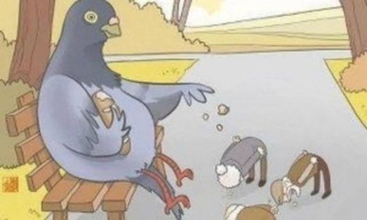 Facebook: «Πήγα στο Σύνταγμα και είδα περιστέρια να ταΐζουν ανθρώπους»!