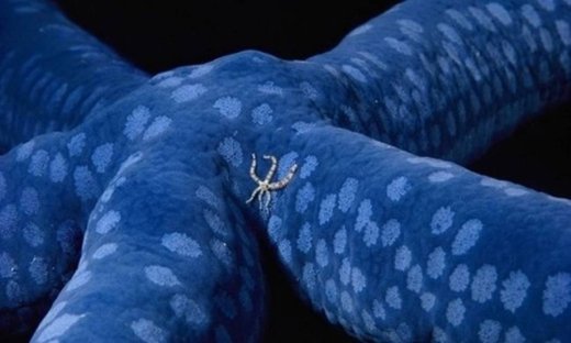 Οι καλύτερες φωτογραφίες του National Geographic για τη χρονιά που πέρασε