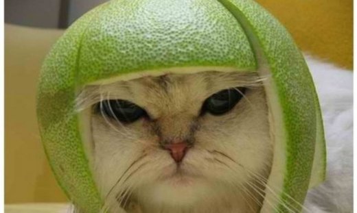 Αισθάνομαι λίγο άβολα καλό μου ζώδιο… Τι έχεις να πεις?