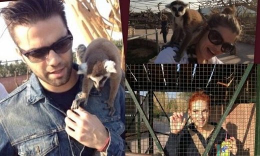 Η βόλτα στο ζωολογικό πάρκο των Μαραντίνη-Χρηστίδου-Κορινθίου (Φωτό)