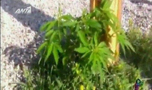 Ο Τόνυ Δημητρίου έκανε ρεπορτάζ για τους «Αρβύλα»