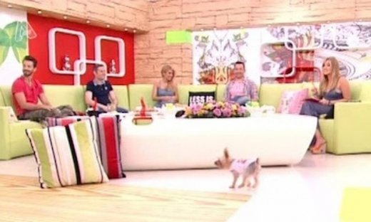 Με ποια εκπομπή «τα έβαλε» η Γερμανού;