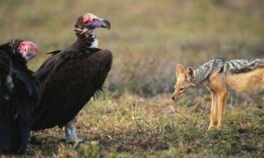 Uranian χρησμοί Ιουλίου