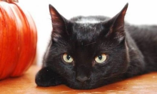 Οι πιο άτυχοι άνθρωποι του κόσμου