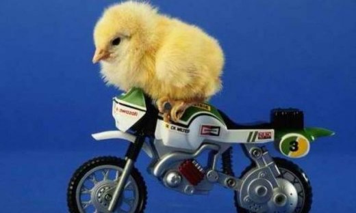 Αστρολογικό δελτίο για όλα τα ζώδια, από 11 έως 14 Αυγούστου