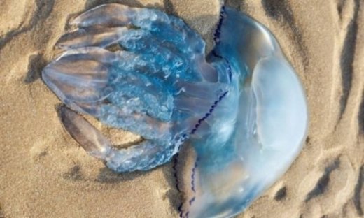 Αστρολογικό δελτίο για όλα τα ζώδια από 25 έως 28 Αυγούστου