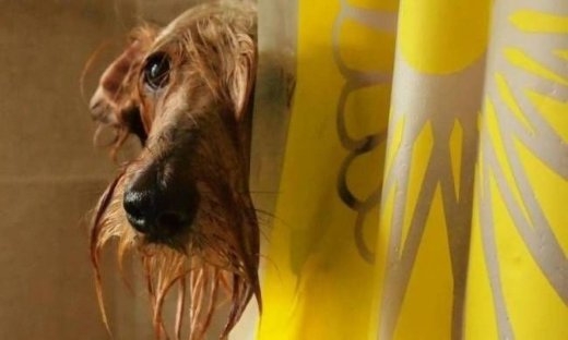 Φωτογραφίες που θα σας κάνουν να χαμογελάσετε!