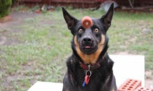 Εντυπωσιακές φωτογραφίες τραβηγμένες την κατάλληλη στιγμή