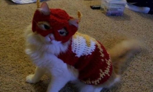 Ξεκαρδιστικό βίντεο: Η... ιπτάμενη γάτα!