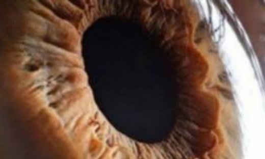 Μπορείτε να καταλάβετε τι είναι αυτό;