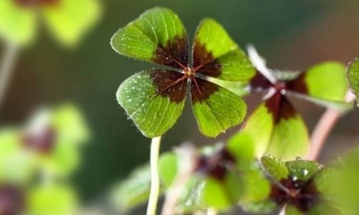 Οι 12 τυχερές στιγμές της ημέρας: Σάββατο 29 Δεκεμβρίου