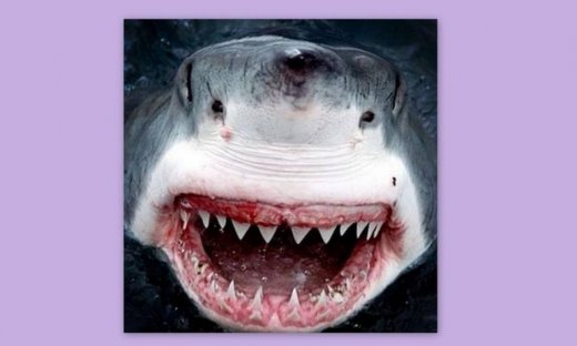 Ποιο γνωστό μοντέλο πόσταρε αυτή τη φωτογραφία στο twitter