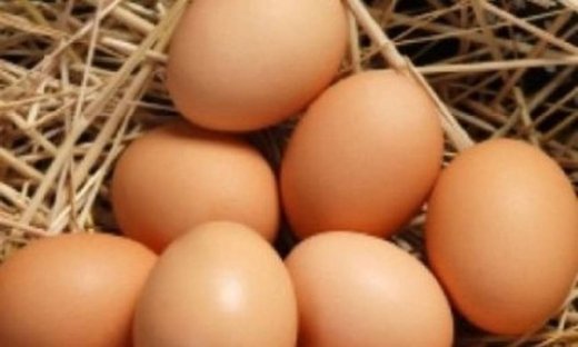 Επιχείρηση αδυνάτισμα: Eίναι τα αβγά, το κλειδί της επιτυχίας;