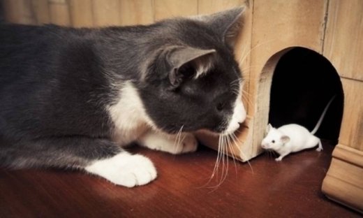 Αστρολογικό δελτίο για όλα τα ζώδια: από 19 έως 23 Απριλίου