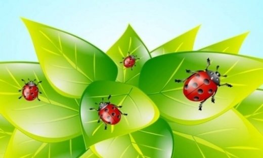 Οι 12 τυχερές στιγμές της ημέρας: Κυριακή 2 Ιουνίου