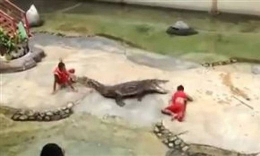 Βίντεο: Πιάστηκε στα σαγόνια κροκόδειλου και σώθηκε από θαύμα