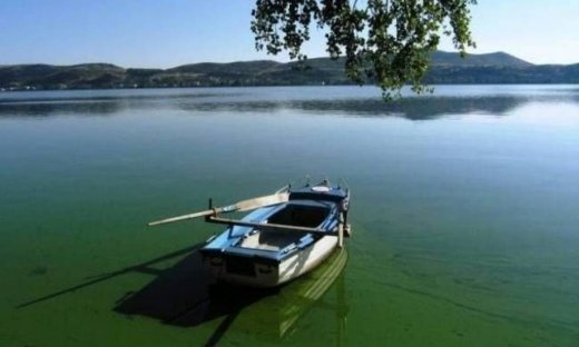 Ψάρι του Αμαζονίου στη λίμνη Καστοριάς