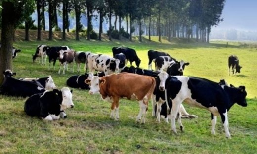 Αστρολογικό δελτίο για όλα τα ζώδια: από 25 έως 27 Σεπτεμβρίου