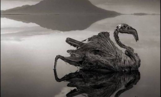 Η στοιχειωμένη λίμνη στη Τανζανία! Φωτογραφίες που συγκλονίζουν