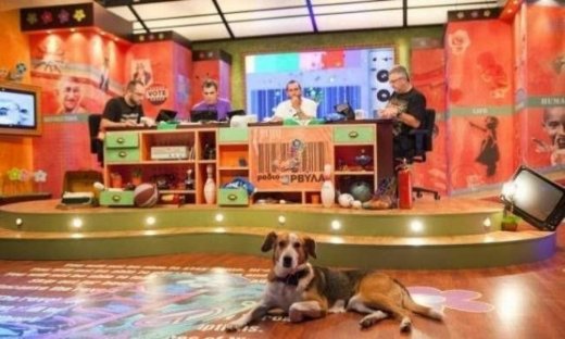 Τα νούμερα τηλεθέασης για το Ράδιο Αρβύλα!