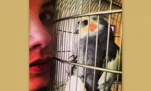 Το νέο μέλος της οικογένειας Αϊβάζη