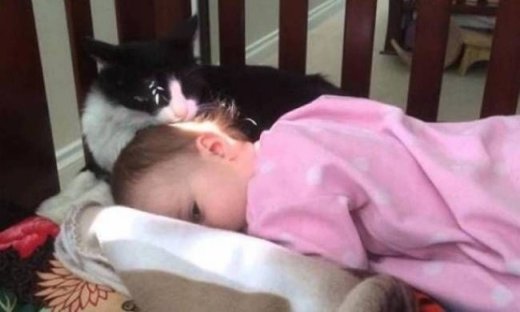 Η γάτα που μπέρδεψε το παιδί με το γατάκι της (vid)