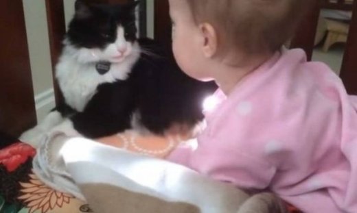 Υπέροχο! Γατούλα, πλένει ένα μωράκι σαν να ήταν το γατάκι της! (βίντεο)