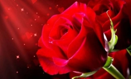 Ερωτικές προβλέψεις Φεβρουαρίου για όλα τα ζώδια