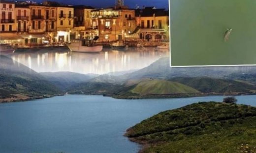 Πόλος έλξης η λίμνη του κροκόδειλου!