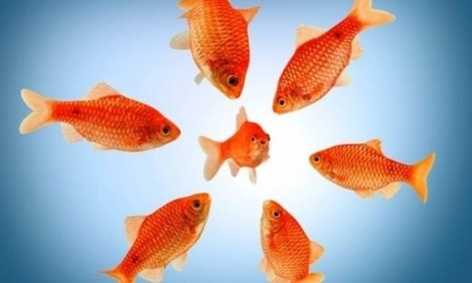 Αστρολογικό δελτίο για όλα τα ζώδια, από 16 έως 18 Ιουλίου