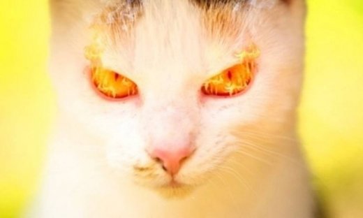 Ζώδια: Πότε έχουν φτάσει στα όρια της υπομονής τους;