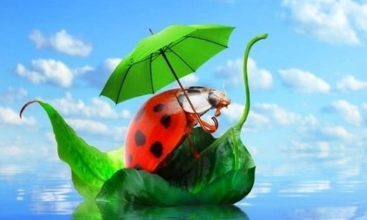 Οι τυχερές και όμορφες στιγμές της ημέρας: Τρίτη 9 Σεπτεμβρίου