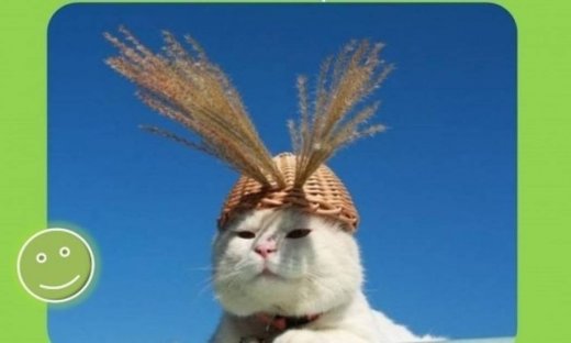 Πως φλερτάρουν τα ζώδια